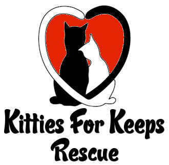 Feature Image for Kitties For Keeps Rescue